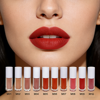 Vente en gros Marque privée Maquillage minéral Rouge à lèvres liquide Rouge à lèvres mat imperméable longue durée Logo personnalisé