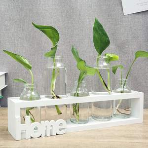 <span class=keywords><strong>Vase</strong></span> en verre à support en bois massif, station de culture de plantes aquatiques, décoration de bureau, offre spéciale - Product Image 1