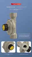 Válvula Reductora de Baja Presión de 6 Puntos con Estructura Angular DN20, Grado Industrial, Cuerpo de Válvula Reforzado, a Prueba de Explosiones