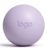 Kit de Yoga et Pilates Professionnel avec Logo Personnalisé : Anneau de Pilates, Ballon de Pilates, Lest de Cheville, Bandes de Résistance en Tissu et Ballon de Yoga