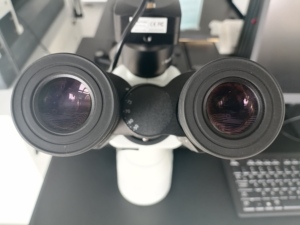 Advanced <strong>Inverted</strong> <strong>Microscope</strong>: Infinite Correction Optics | Fast Sample Observation - Product Image 5