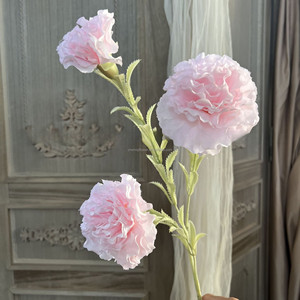 2024 đám cưới mới nhà trang trí hoa lụa trắng hồng cẩm chướng hoa nhân tạo - Product Image 5