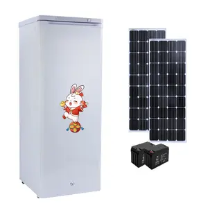 Trung quốc sản xuất Ice Maker hiệu quả đông lạnh 200L thẳng đứng Tủ lạnh cửa duy nhất nhiều lớp kệ