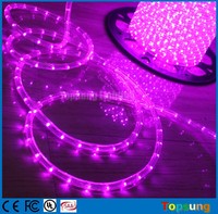 240v Flexible Silicon Tube 100m Rouleau 1/2 "Duralight Luces Corde Lumières Tiras Cristal Luz Bandes Flexibles