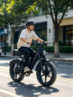 Vélo de montagne électrique pour adultes Affichage numérique 7 vitesses Cadre en acier Freins à disque Moteur sans balais 250W Batterie au lithium Autonomie 50-60 km