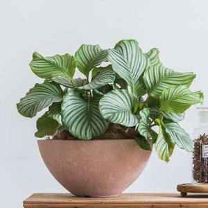 Fábrica de macetas de cemento reutilizables duraderas de alta calidad 2023 al por mayor a un precio razonable para el hogar y el jardín - Product Image 5