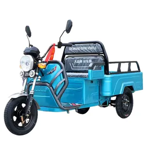 Cargo Bike Motorized Tricycles Electric For Adults 800w Trike 3 Wheel 60volt Tricycle Fat