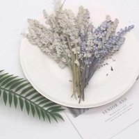 N235 vendita calda nuovo arrivo prezzo di fabbrica all'ingrosso lavoro manuale fai da te lavanda secca viola fiori secchi veri