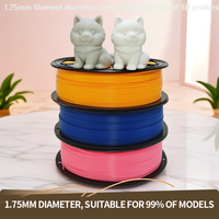 Filamen MakePlanet PLA+ 1KG untuk Pencetakan 3D Warna Transparan Berkualitas Tinggi Diameter 1.75mm 200C Mendukung OEM/ODM Moulding