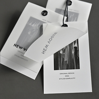 Étiquettes en PVC translucide givré prêtes à être expédiées avec étiquette de vêtement, design personnalisé, logo imprimé, étiquettes de vêtements en papier à suspendre