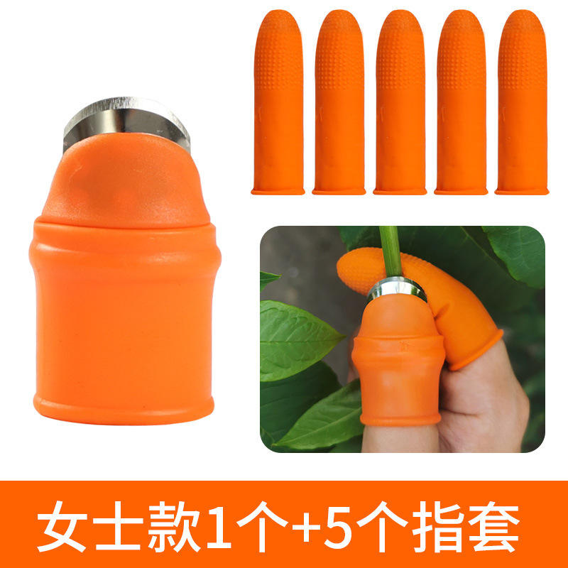 1 couteau pouce + 5 gants femme