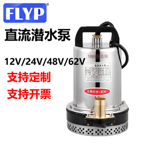 Dc Submersible Pump 2 In 12V 24V 48V 60V 72V For Electric Vehicle And Household Use - Product Image 5