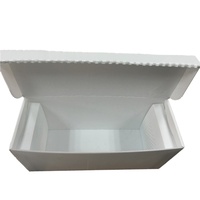 Anti UV corrugado PP Corflute Nuc núcleo de cajas para Apicultura