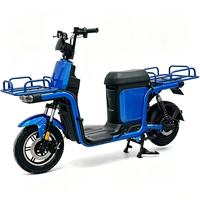 Vélo cargo électrique 800W pour le dernier kilomètre, freins à disque avant et arrière, vente en gros en vrac, expédition en conteneur complet