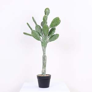 Plantes Artificielles en Plastique Cactus Leon pour Intérieur/Extérieur – Haute Simulation, Décoratives, Faux Plantes Vertes Tropicales, Scène Désertique - Product Image 3