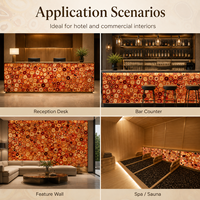 Dalle de Luxe en Agate Rouge Translucide Rétroéclairée pour Panneau Mural Décoratif, Plan de Bar, Carrelage de Sol pour Salon et Cuisine, Résistante au Feu et à l'Eau