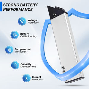 Batterie de rechange pour vélo électrique pliable XP Step-Thru 3.0, 48V, entrepôt EU USA, 14Ah - Product Image 3