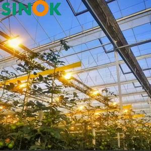 โรงเรือนเพาะปลูกพืชผลทางการเกษตรแบบกระจกนิรภัยชนิด Sinok Venlo พร้อมโครงเหล็กชุบสังกะสีแบบจุ่มร้อน โรงเรือนปลูกมะเขือเทศขนาดใหญ่แบบหลายช่วง - Product Image 4