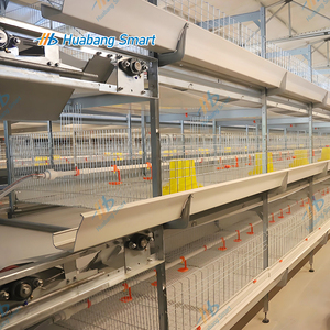 Système de cages automatiques pour poulets de chair galvanisé à chaud avec mangeoire automatique intégrée, abreuvoir et système d'évacuation <span class=keywords><strong>des</strong></span> excréments - Product Image 4