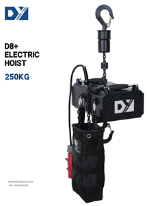 DY + 250KG ÉVÉNEMENT TUV CERTIFICAT DAT CHAÎNE PALAN ÉLECTRIQUE LEVAGE DOUBLE FREIN EMBRAYAGE - Product Image 2