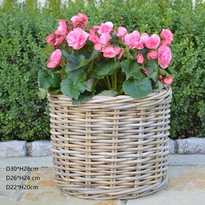 Cesto <span class=keywords><strong>in</strong></span> Rattan HF0240 con Manici, Vaso <span class=keywords><strong>in</strong></span> Rattan Piccolo e Grande, Vasi Rotondi Fatti a Mano per Fiori e Piante, Cesto Portaoggetti <span class=keywords><strong>in</strong></span> <span class=keywords><strong>Vimini</strong></span> Jumbo - Product Image 2