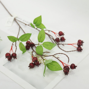 Bán buôn thiết kế mới phổ biến nhỏ táo gai chi nhánh cho đồ nội thất nhà trang trí - Product Image 2