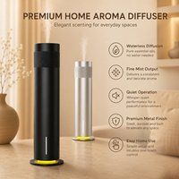 Diffuseur d'arômes électrique sans eau à nébulisation avec contrôle, rechargeable, pour la maison, l'hôtel et l'usage domestique