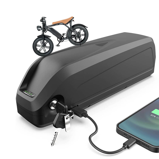 V8 Electric Bike Replacement Batteries 48V 15Ah 18Ah 19.2Ah 30A BMS Hailong Case Lithium Ion Ebike Battery for E-bike
