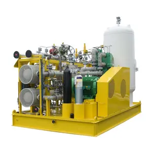 Compressore d'aria Oil-Free 100% 250 CFM 12Volt 130000Rpm ad alta pressione egli compressore rotativo per la respirazione subacquea