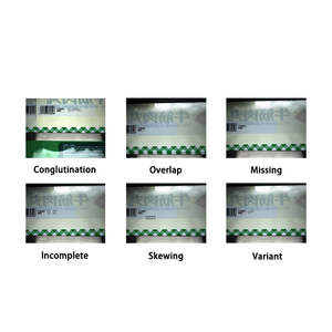 <strong>Automatic</strong> Coding Vision Detection Machine | High-Speed Printing Code Inspection - Product Image 2