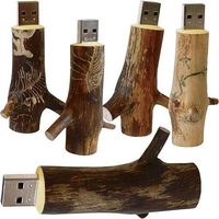 Flashdisk Kayu 8/16GB Dapat Dicetak Laser Bentuk Akar Pohon Kayu Merah USB 2.0 2GB Hadiah USB Bentuk Ranting Pohon