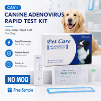 Canine Coronavirus Antigeen Test Kit Canine CCV Ag Snelle Diagnostische Cassette voor Hondenziekte Screening Gratis Monster Fabriek