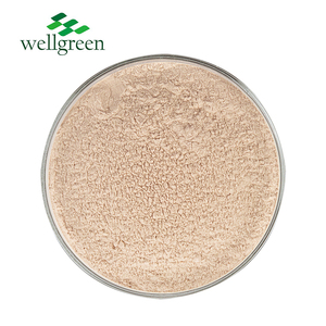 Cebolla Amarilla en Polvo, Grado Alimenticio, Embalaje en Tambor, Proveedor de Fábrica, Precio Bajo al por Mayor, Polvo Puro - Product Image 3