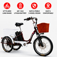 Triciclo Eléctrico de 20 Pulgadas para Adultos, Triciclo Eléctrico de Carga de 48V, Bicicleta Eléctrica de Tres Ruedas con Canasta Trasera Grande, OEM