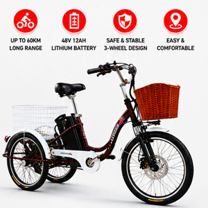 Triciclo Elettrico da 20 Pollici per Adulti, Triciclo Elettrico da Carico 48V, <span class=keywords><strong>Bici</strong></span> Elettrica a Tre Ruote Utilitaria con Ampio Cesto Posteriore OEM - Product Image 2