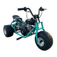 Triciclo Todoterreno para Adultos, con Motor de Gasolina, 3 Ruedas, Mini Go Kart, Vehículo de Carreras Todoterreno para Playa