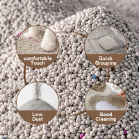 Litière pour chat 10L, sable hautement absorbant, agglomération rapide, 99% sans poussière, litière pour chat en bentonite de qualité, facile à nettoyer et sans poussière