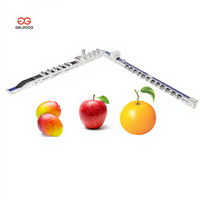 Gelgoog Automatische Bellenwasmachine voor Groenten, Appels, Mango's, Fruit en Groenten, inclusief reiniging, drogen, sorteren en verpakken.