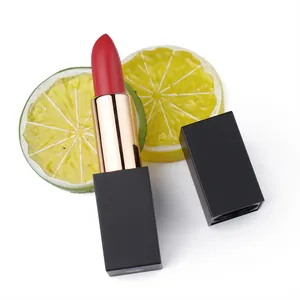 Hoge Kwaliteit Veganistische Bruine Matte Lippenstift Waterdicht En Langdurig Met Aangepaste Private Label Odm-Levering Beschikbaar