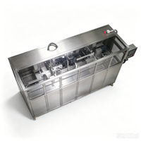 Machine de remplissage entièrement automatique Bag-in-Box (BIB) pour le lait, en acier inoxydable 304, pour boissons et produits laitiers liquides