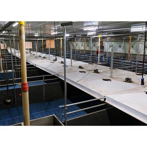 Nouvelle cage de sevrage pour porcelets, équipement d'élevage 2026 - Product Image 2