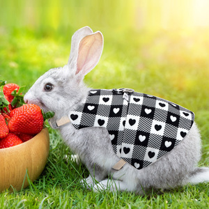 Accesorios de Ropa para Conejos Arnés y Correa para Conejo Hurón Gato Suministros para Mascotas Pequeñas al Aire Libre Arnés para Conejo - Product Image 5