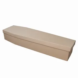 Cercueil en carton biodégradable assemblé, prix du fabricant, CE-01