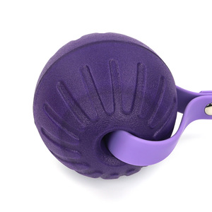 Kanca tasma ile Modern lüks evcil hayvan topu kapak tutucu hafif kolay kurulum köpek römorkör oyuncak <span class=keywords><strong>Pet</strong></span> tedarikçiler tarafından sağlanan - Product Image 3