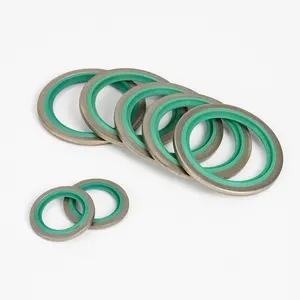 Joint enroulé en spirale en métal de taille personnalisée joint enroulé en spirale flexitallique en métal