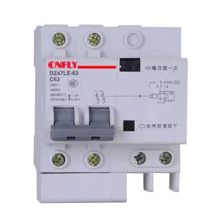 2P 4P 63A Earth Leakage Circuit Breaker ELCB