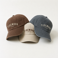 Casquette de baseball en coton lavé TIDEWOOD avec broderie de lettres, style rétro classique, pour homme et femme