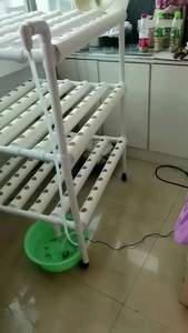 <span class=keywords><strong>Tour</strong></span> de fraises verticale de style de vie sain pour usage personnel petite <span class=keywords><strong>tour</strong></span> de culture hydroponique de salades et d'herbes plantes à feuilles - Product Image 6