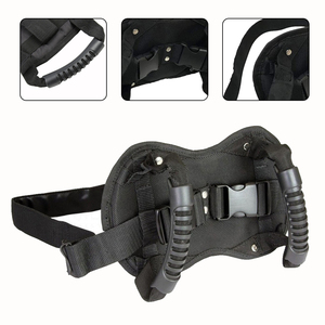 <span class=keywords><strong>Ceinture</strong></span> de sécurité à poignée souple directe d'usine pour accessoires de <span class=keywords><strong>moto</strong></span> de <span class=keywords><strong>passager</strong></span> de siège arrière d'enfants - Product Image 3