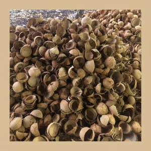 กะลามะพร้าวธรรมชาติดิบสำหรับงานศิลปะตกแต่งและถ่าน - Product Image 1